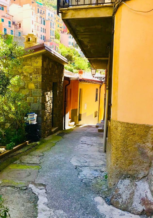 Willy'S Apartment Manarola Exterior foto